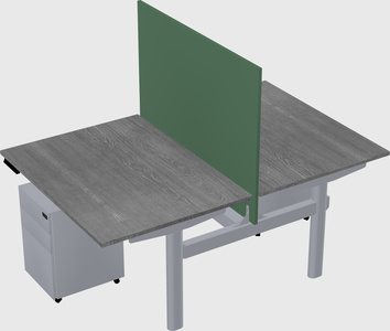 Shared electric desk