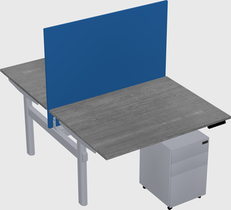 Shared electric desk