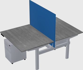 Shared electric desk