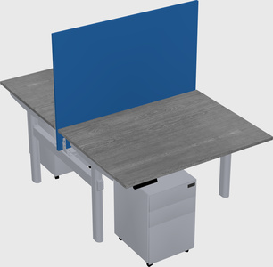 Shared electric desk