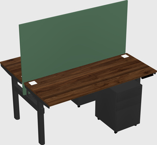 Shared electric desk