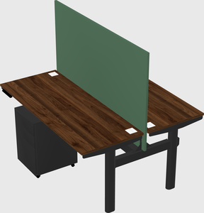 Shared electric desk