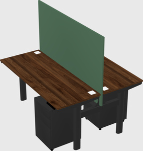 Shared electric desk