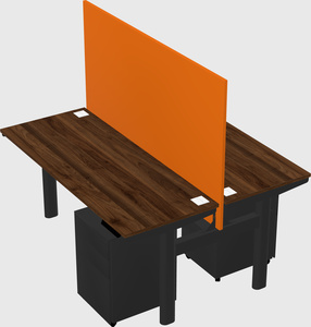Shared electric desk