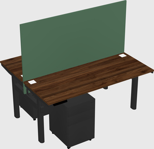 Shared electric desk
