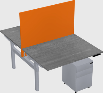 Shared electric desk