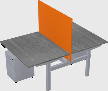 Shared electric desk