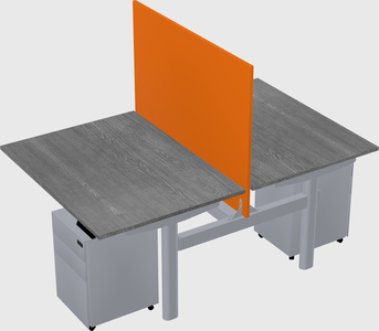 Shared electric desk