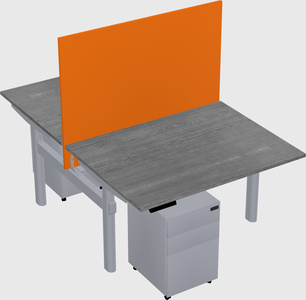 Shared electric desk
