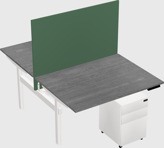 Shared electric desk