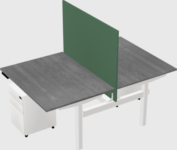 Shared electric desk