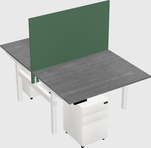 Shared electric desk