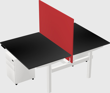 Shared electric desk