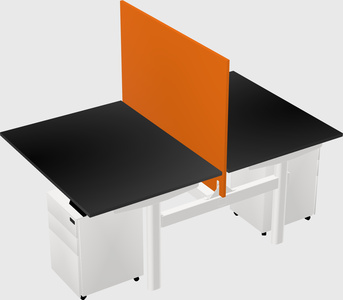 Shared electric desk