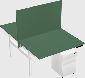 Shared electric desk