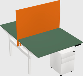 Shared electric desk