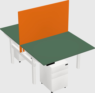 Shared electric desk