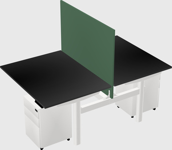 Shared electric desk