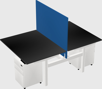 Shared electric desk