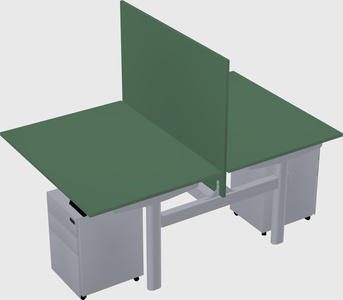 Shared electric desk