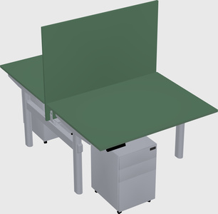 Shared electric desk