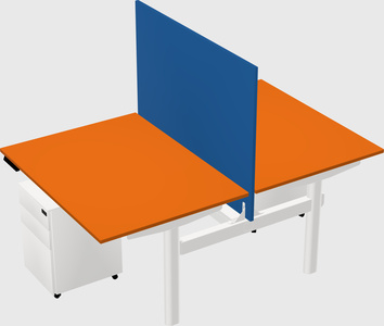 Shared electric desk
