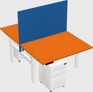 Shared electric desk