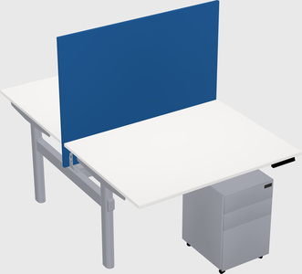 Shared electric desk