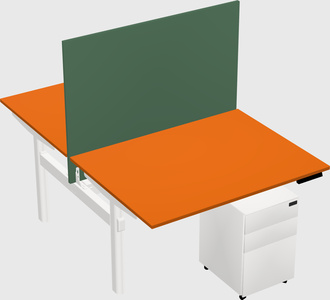 Shared electric desk