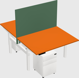 Shared electric desk