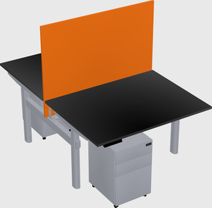 Shared electric desk