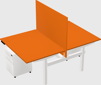 Shared electric desk