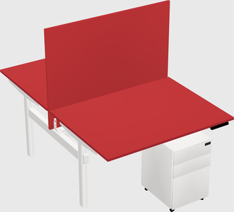 Shared electric desk