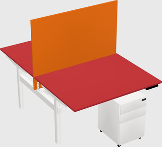 Shared electric desk