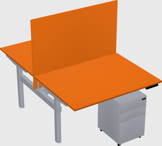 Shared electric desk