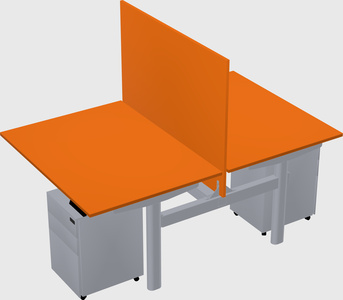 Shared electric desk