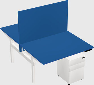 Shared electric desk
