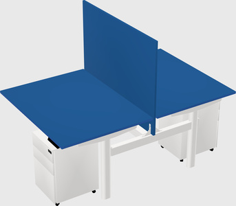 Shared electric desk