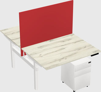 Shared electric desk