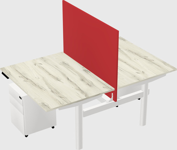 Shared electric desk