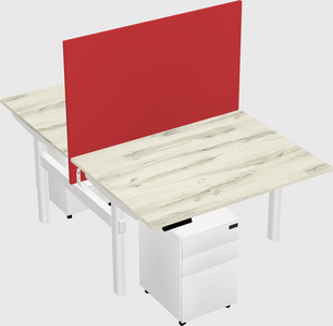 Shared electric desk