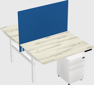Shared electric desk