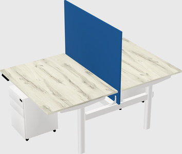 Shared electric desk