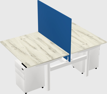 Shared electric desk