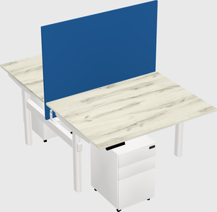 Shared electric desk