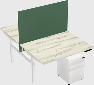 Shared electric desk