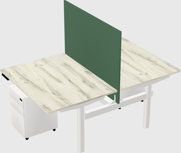 Shared electric desk