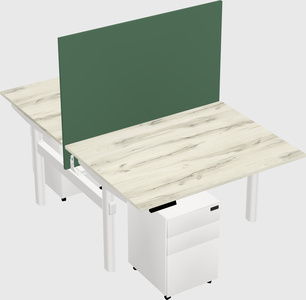 Shared electric desk