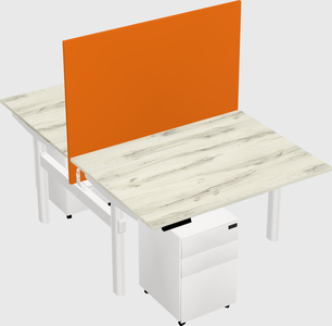 Shared electric desk