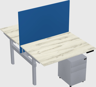 Shared electric desk